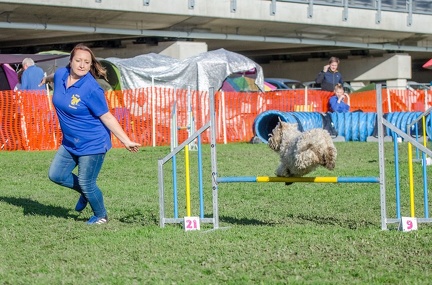 k-AGY LC 2019-10-13 116