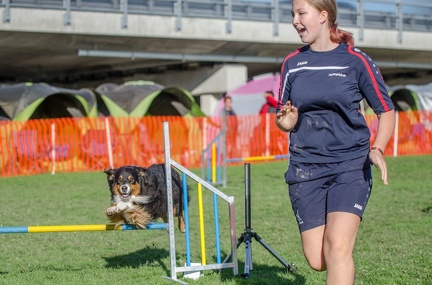 k-AGY LC 2019-10-13 118