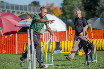 k-AGY LC 2019-10-13 119