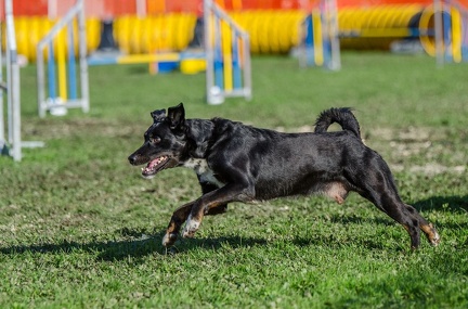 k-AGY LC 2019-10-13 121