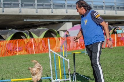 k-AGY LC 2019-10-13 122