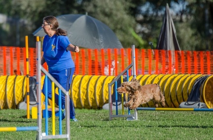 k-AGY LC 2019-10-13 123