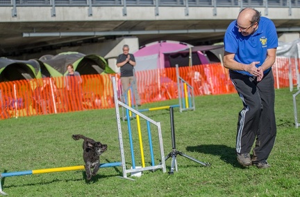 k-AGY LC 2019-10-13 126