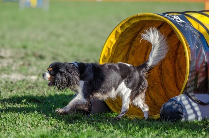 k-AGY LC 2019-10-13 127