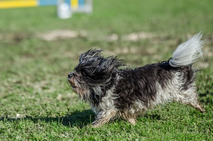 k-AGY LC 2019-10-13 129