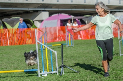 k-AGY LC 2019-10-13 130