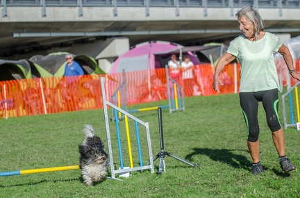 k-AGY LC 2019-10-13 131