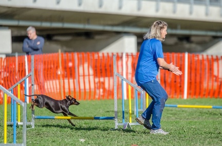 k-AGY LC 2019-10-13 132