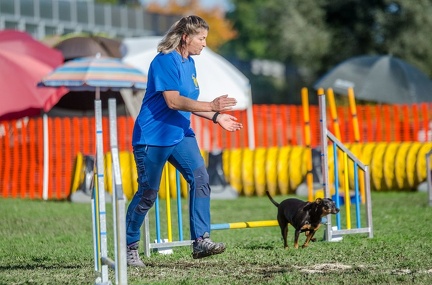 k-AGY LC 2019-10-13 133