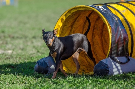 k-AGY LC 2019-10-13 134