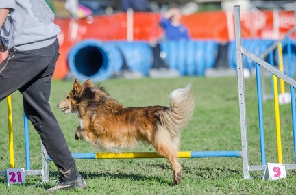 k-AGY LC 2019-10-13 136