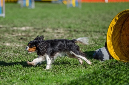 k-AGY LC 2019-10-13 138