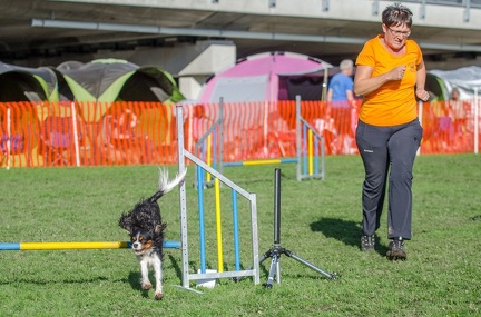 k-AGY LC 2019-10-13 139