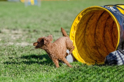 k-AGY LC 2019-10-13 140