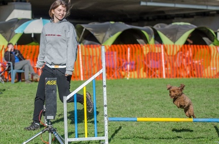 k-AGY LC 2019-10-13 141