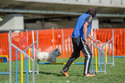 k-AGY LC 2019-10-13 143