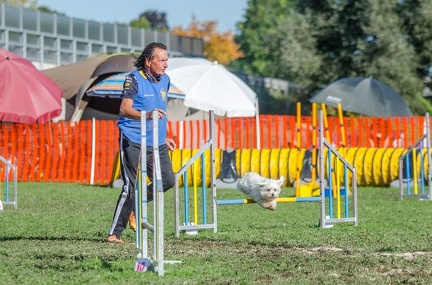 k-AGY LC 2019-10-13 144