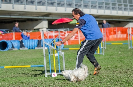 k-AGY LC 2019-10-13 145