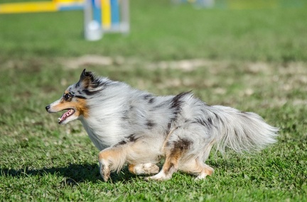 k-AGY LC 2019-10-13 146