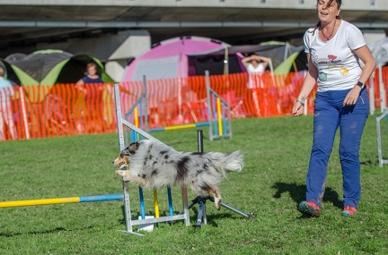 k-AGY LC 2019-10-13 147