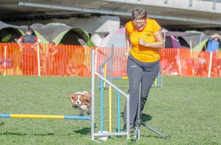 k-AGY LC 2019-10-13 152