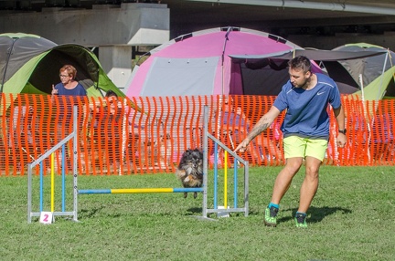 k-AGY LC 2019-10-13 154