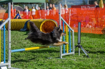 k-AGY LC 2019-10-13 156