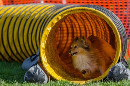 k-AGY LC 2019-10-13 158