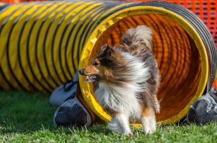 k-AGY LC 2019-10-13 161