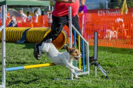 k-AGY LC 2019-10-13 163