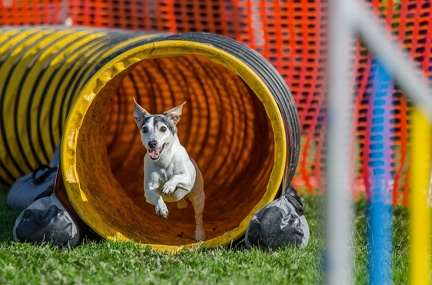 k-AGY LC 2019-10-13 164