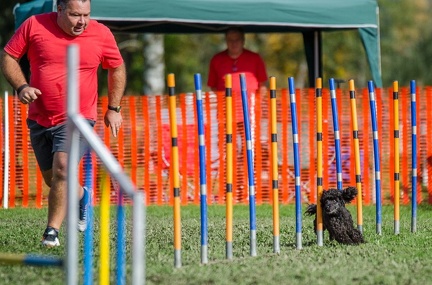 k-AGY LC 2019-10-13 166