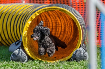 k-AGY LC 2019-10-13 167