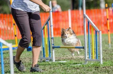 k-AGY LC 2019-10-13 170