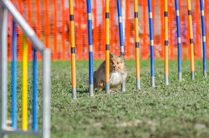 k-AGY LC 2019-10-13 171