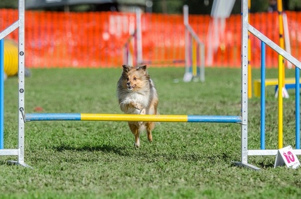 k-AGY LC 2019-10-13 172