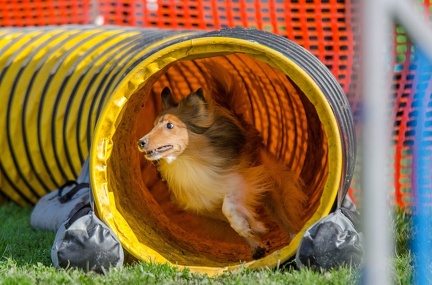 k-AGY LC 2019-10-13 173