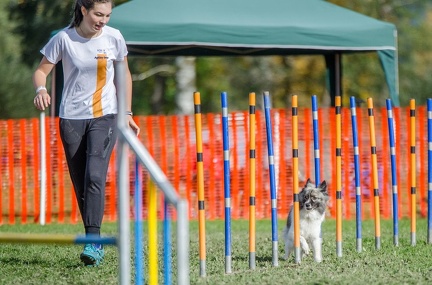 k-AGY LC 2019-10-13 176