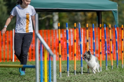 k-AGY LC 2019-10-13 177