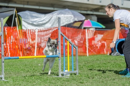 k-AGY LC 2019-10-13 179