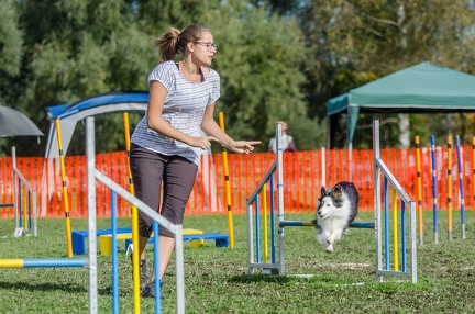 k-AGY LC 2019-10-13 185