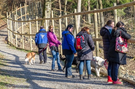 k-HVD beim Doppelmayr-Zoo 2020-02-15 073