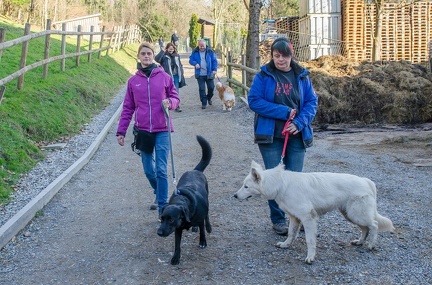 k-HVD beim Doppelmayr-Zoo 2020-02-15 077