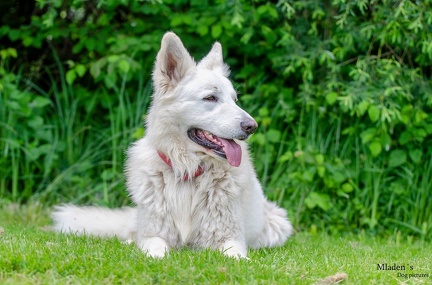 k-HVD Training 2020-05-30 006