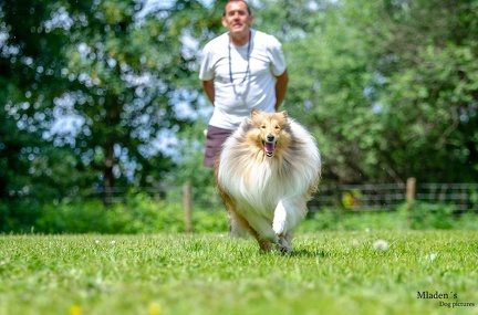 k-HVD Training 2020-05-30 009