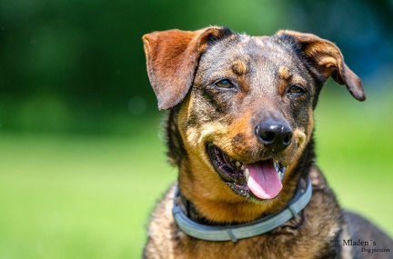 k-HVD Training 2020-05-30 012