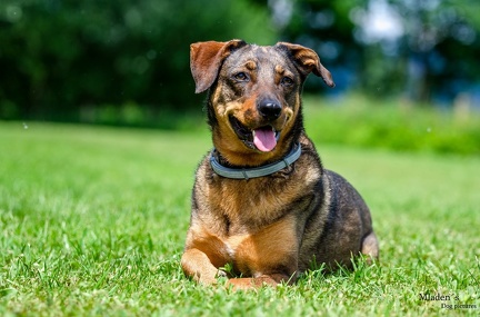 k-HVD Training 2020-05-30 013