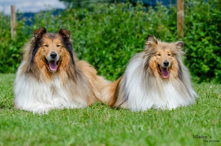 k-HVD Training 2020-05-30 024