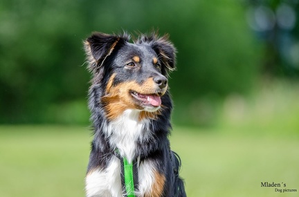 k-HVD Training 2020-05-30 047