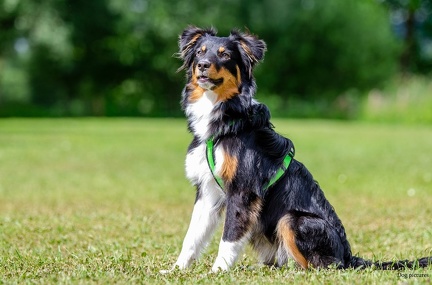 k-HVD Training 2020-05-30 046